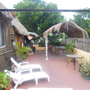 https://mayan-hostel.quintano-roohotels.com